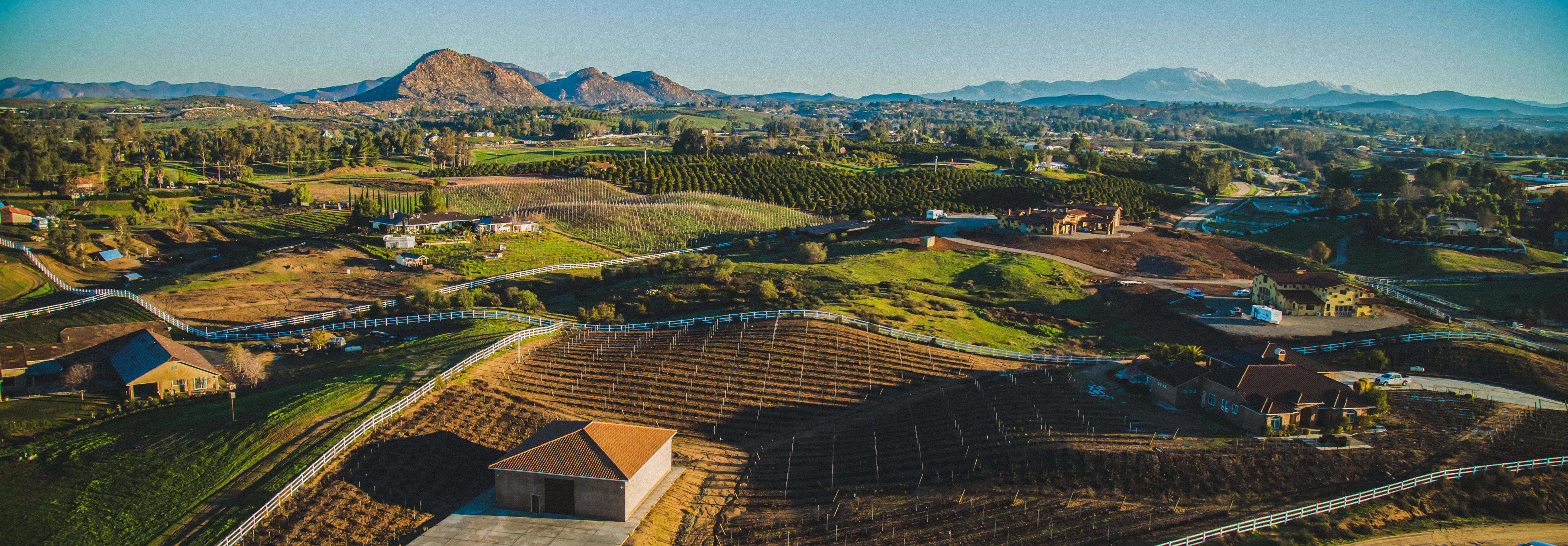 San Diego Winery