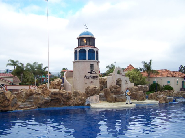 Dolphin Encounter