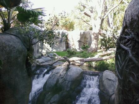 Gorilla Waterfall Habitat